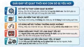 Giải đáp về quạt thổi khí con sò bị yếu hơi.
