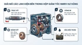 Giải mã các linh kiện bên trong hộp giảm tốc NMRV hư hỏng.