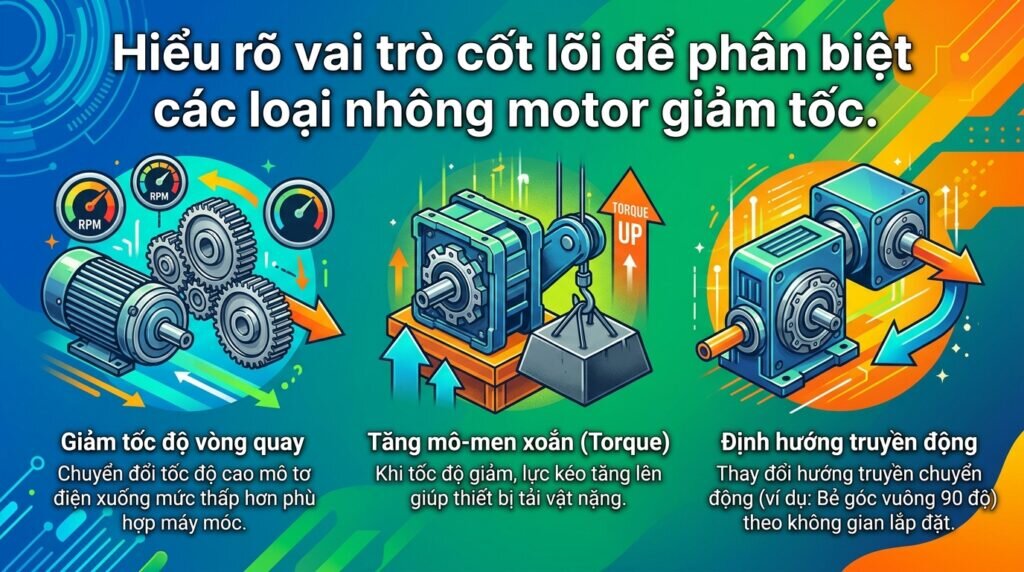 Hiểu rõ vai trò cốt lõi để phân biệt các loại nhông motor giảm tốc.