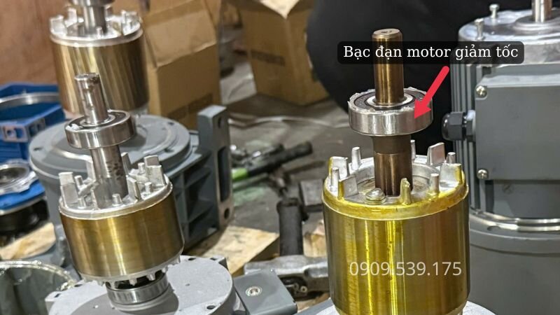 Hư hỏng vòng bi bạc đạn bên trong motor