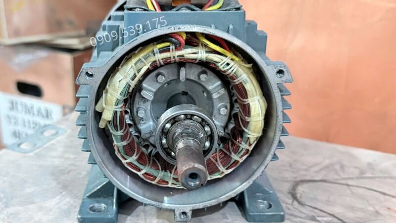 Lớp vecni cách điện của cuộn dây stator bị thoái hoá khiến aptomat ngắt điện