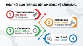Mốc thời gian thay dầu hộp WP để bảo vệ bánh răng.