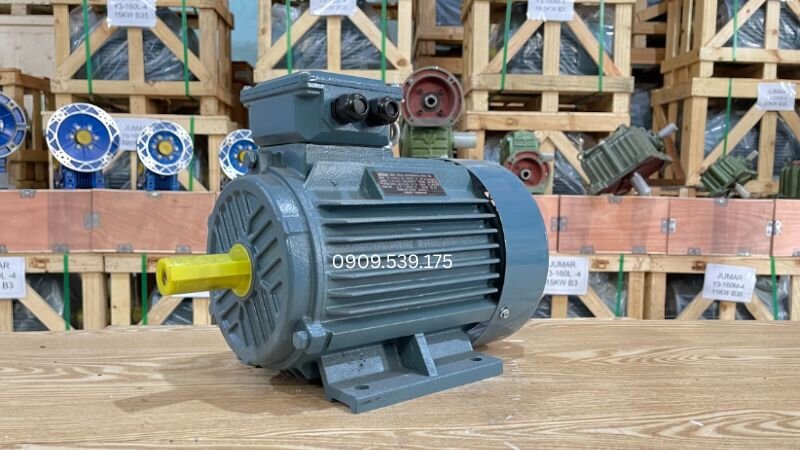 Các loại motor dùng cho cối trộn, băng tải, vít tải và bơm nước