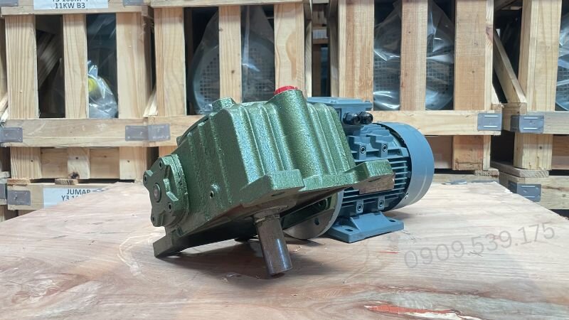 Motor giảm tốc trục vít bánh vít cho tải nhẹ và trung bình