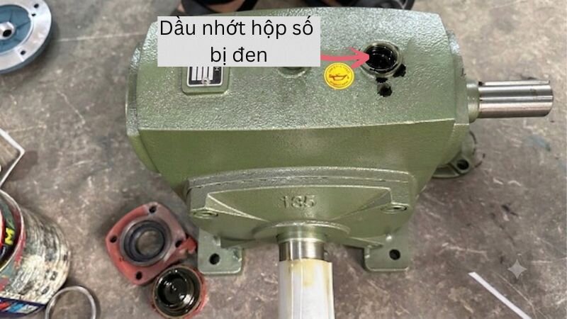 Nhận biết dầu hộp số WP đã xuống cấp qua màu sắc