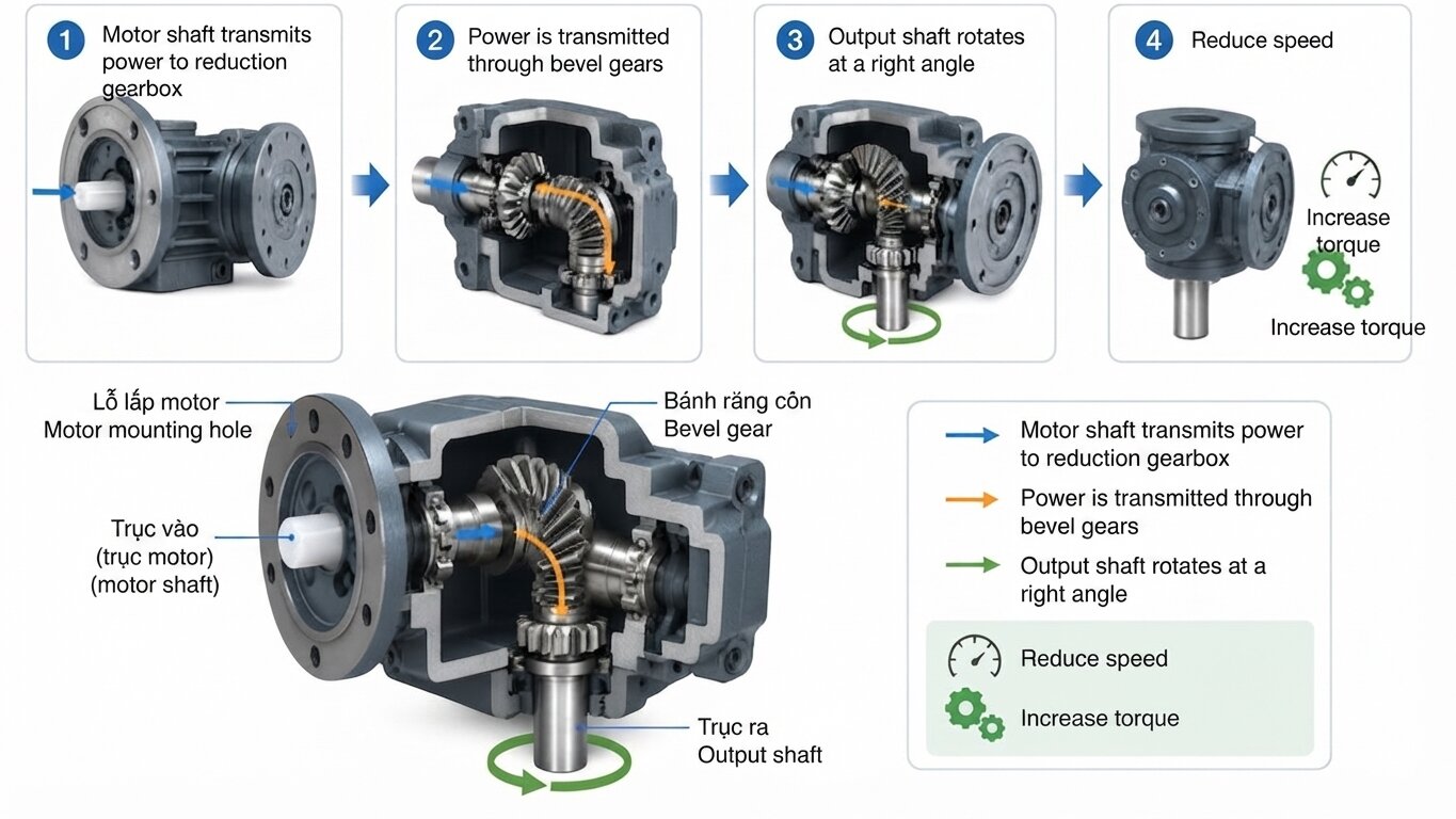 Operating principle of the K-Series Helical Bevel Gearbox