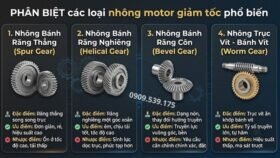 Phân biệt các loại nhông motor giảm tốc.
