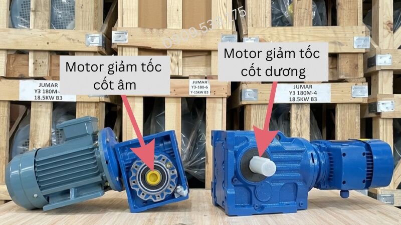 Phân biệt motor giảm tốc cốt âm với cốt dương