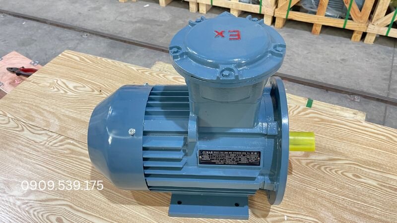 Động cơ chống cháy nổ Ex tại Thành Thái Motor.