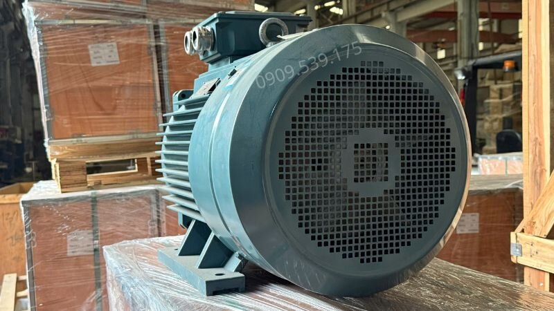 Siết chặt bulong để cánh quạt không rung lắc trong quá trình hoạt động