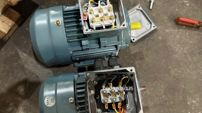 Quan sát đúng vị trí cầu nối để đấu motor theo nguồn điện phù hợp