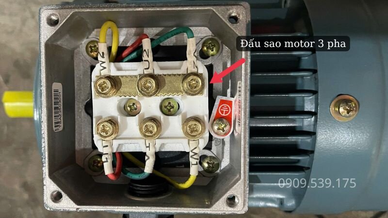 Sơ đồ đấu sao cho motor điện 3 pha