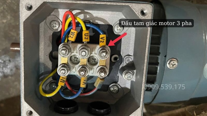 Sơ đồ đấu tam giác cho motor điện 3 pha
