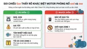 Soi chiếu Exe thấy rõ khác biệt motor phòng nổ exd và exe.