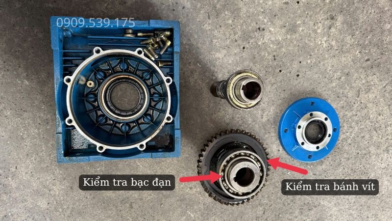 Tháo mặt bích hộp số NMRV kiểm tra bạc đạn và bánh vít