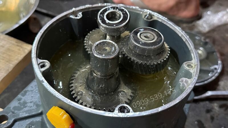 Thay dầu nhớt định kỳ cho motor giảm tốc