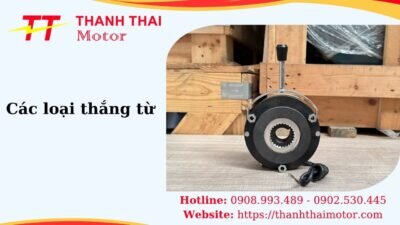Thumb các loại thắng từ