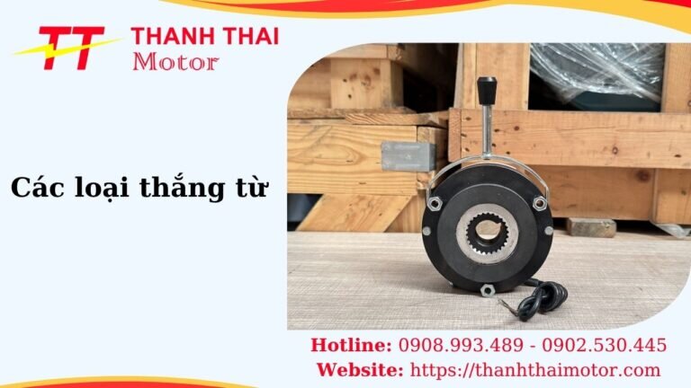 Thumb các loại thắng từ
