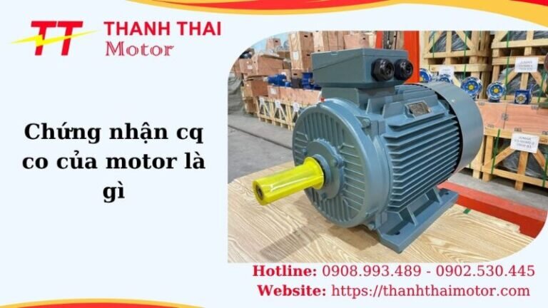 Thumb chứng nhận cq co của motor là gì