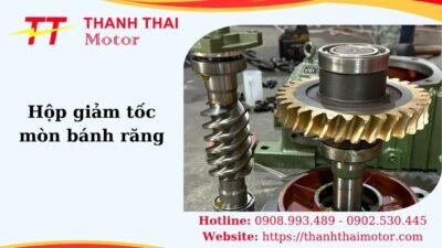 Thumb hộp giảm tốc mòn bánh răng