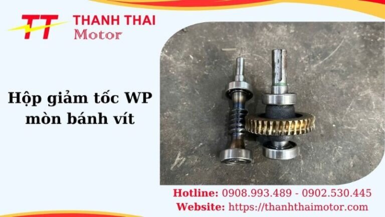 Thumb hộp giảm tốc WP mòn bánh vít