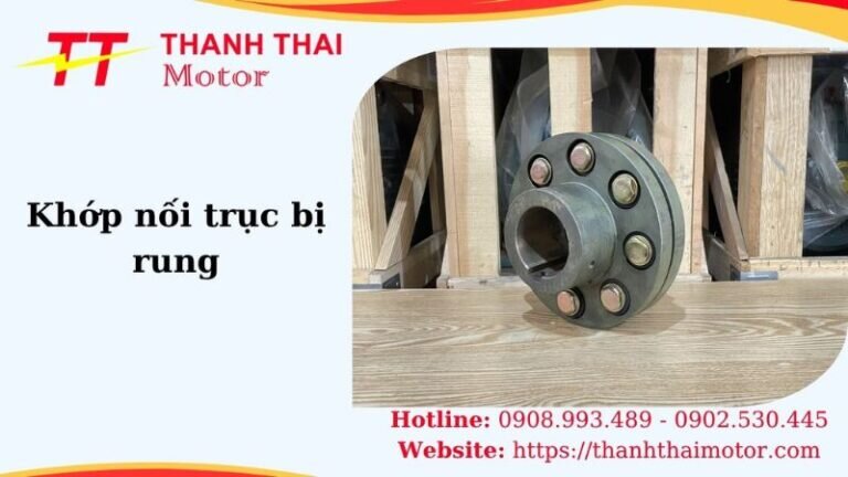 Thumb khớp nối trục bị rung