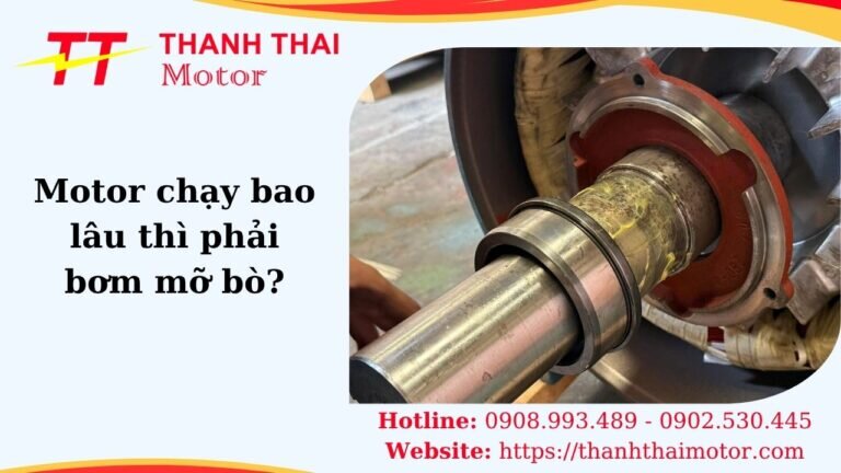 Thumb motor chạy bao lâu thì phải bơm mỡ bò