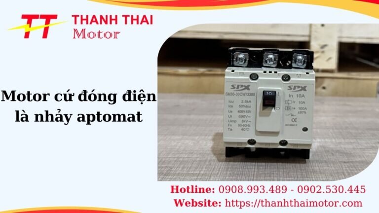 Thumb motor cứ đóng điện là nhảy aptomat