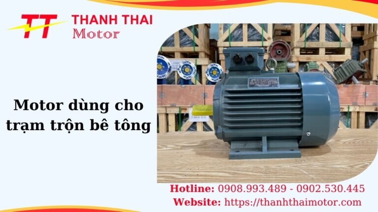 Hình thumb motor dùng cho trạm trộn bê tông