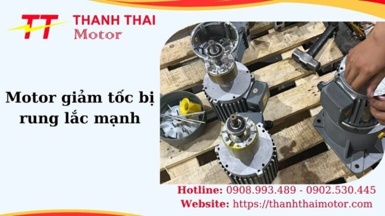 Thumb motor giảm tốc bị rung lắc mạnh