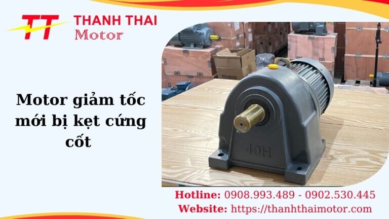 Hình thumb motor giảm tốc mới bị kẹt cứng cốt