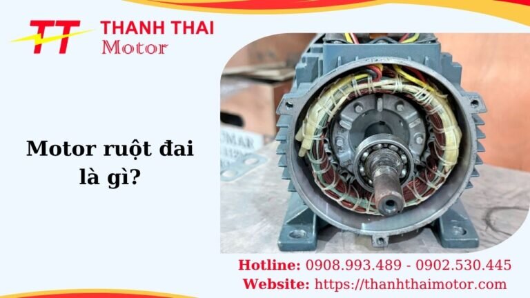 Thumb motor ruột đai là gì