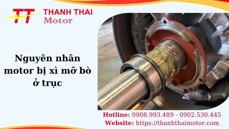 Thumb nguyên nhân motor bị xì mỡ bò ở trục