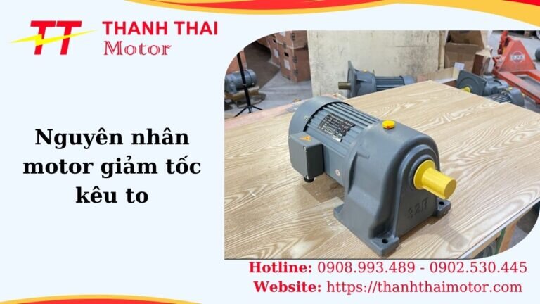 Hình thumb motor giảm tốc kêu to