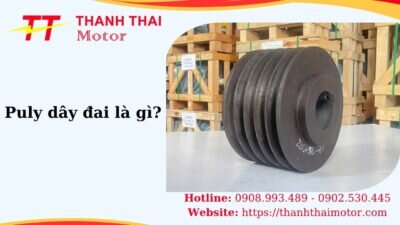 Thumb puly dây đai là gì