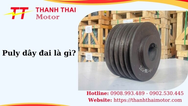 Thumb puly dây đai là gì