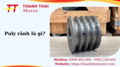 Thumb puly rãnh là gì