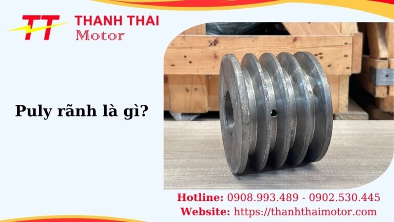 Thumb puly rãnh là gì