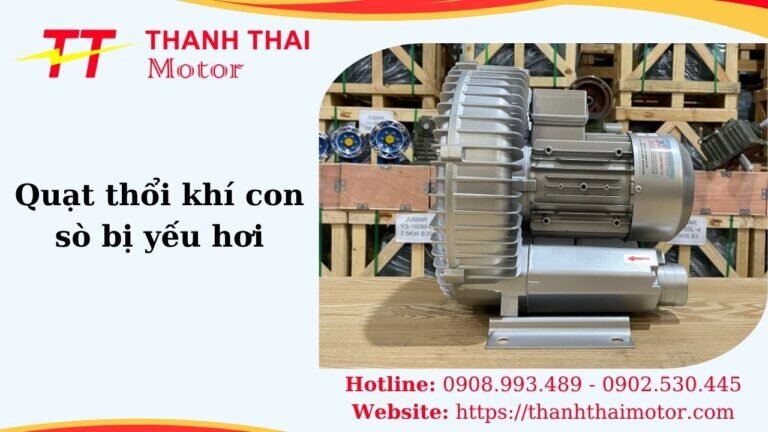 Thumb quạt thổi khí con sò bị yếu hơi