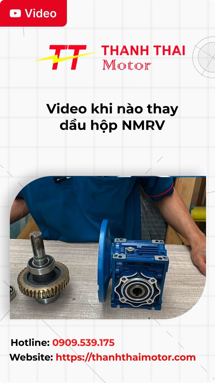 Thumb khi nào thay dầu hộp NMRV