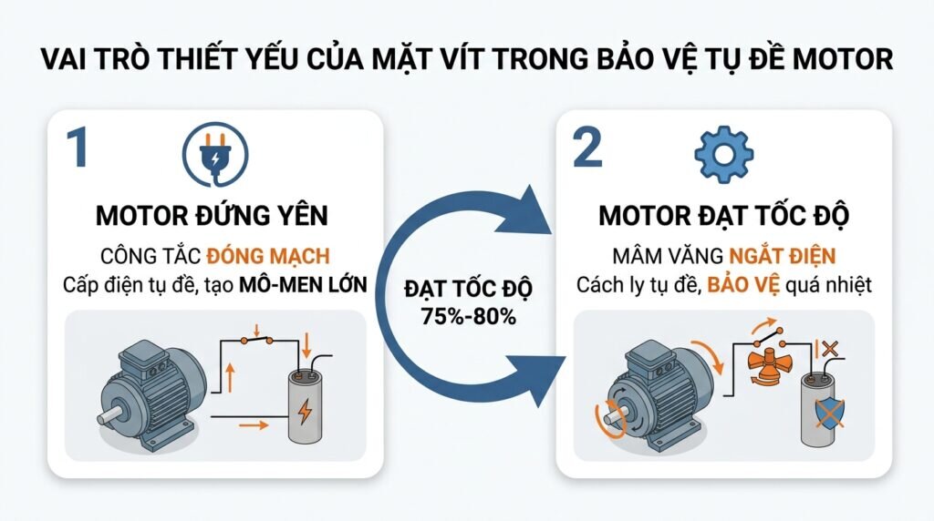 Vai trò thiết yếu của mặt vít trong bảo vệ tụ đề motor.