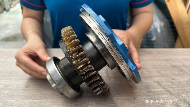 Kiểm tra độ lắc của trục đầu ra NMRV bằng tay