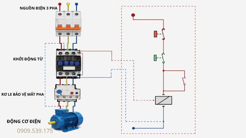 Kết nối tiếp điểm rơ le với mạch điều khiển contactor để tự động ngắt motor khi mất pha