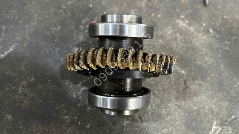 Bánh vít đồng bị mòn mẻ gây tiếng kêu hộp giảm tốc WP