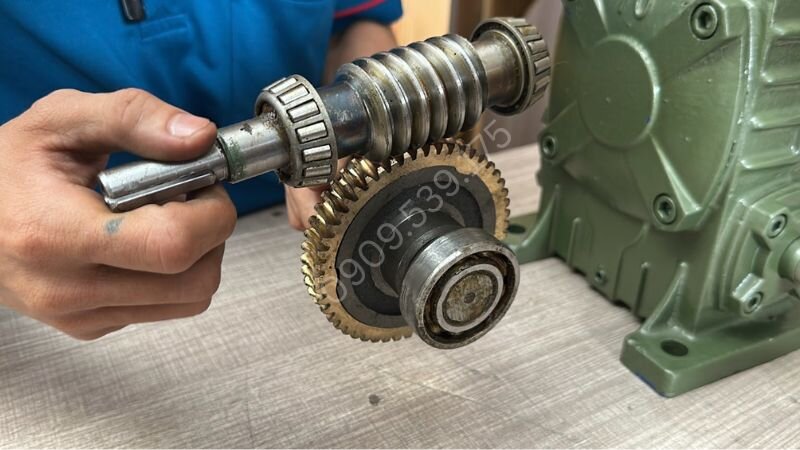 Kiểm tra bánh vít và trục vít khi hộp giảm tốc WP kêu lớn