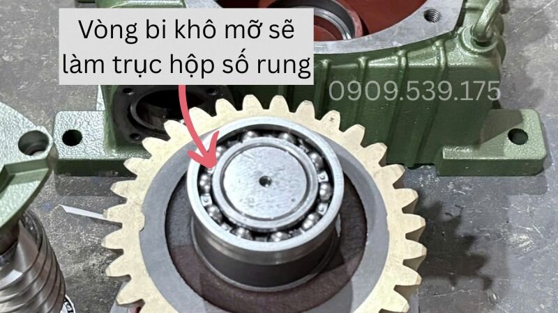 Ổ bi thiếu mỡ gây nóng và giảm tuổi thọ hộp giảm tốc WP