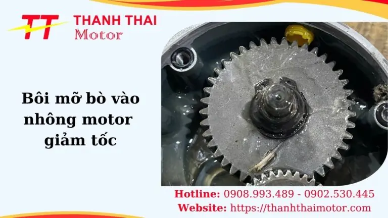 Thumb bôi mỡ bò vào nhông motor giảm tốc