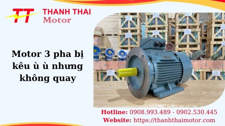 Thumb motor 3 pha bị kêu ù ù nhưng không quay