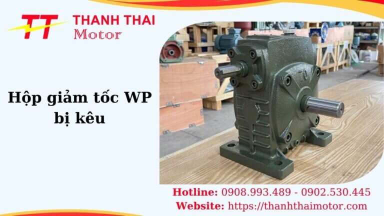 Thumb hộp giảm tốc WP bị kêu