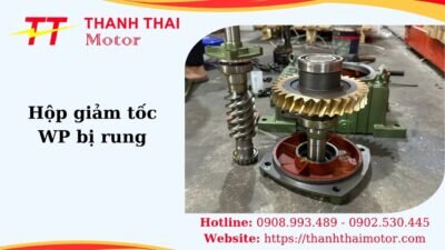 Thumb hộp giảm tốc WP bị rung